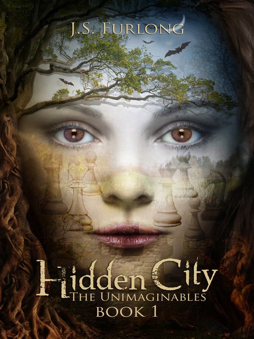 Cover image for Hidden City